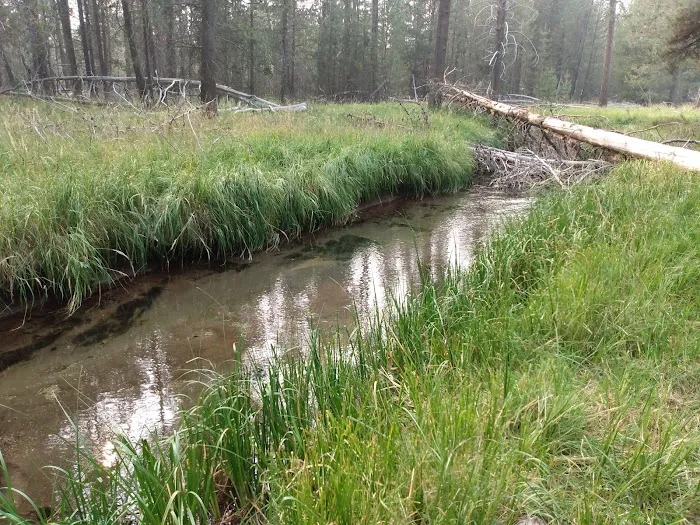 Willow Campground Picture 1