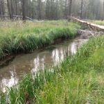 Willow Campground
