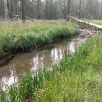 Willow Campground ico