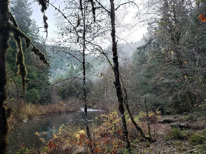 Myrtle Grove Campground Picture 7