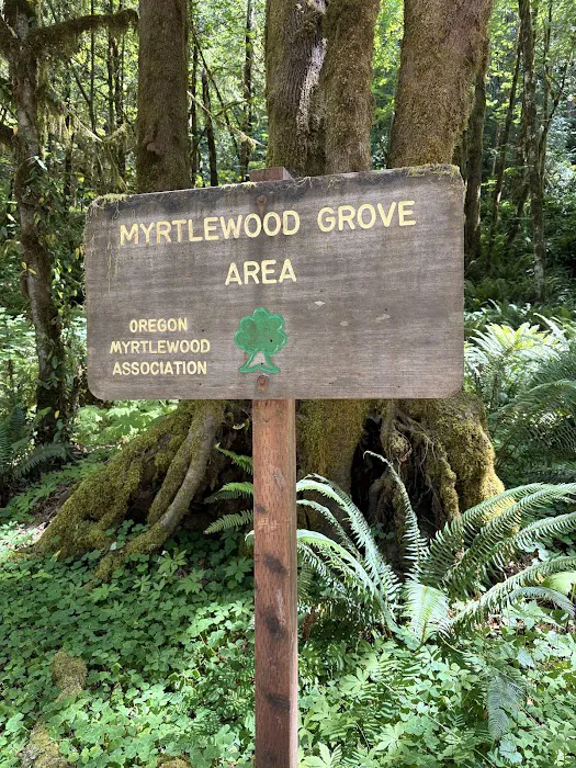 Myrtle Grove Campground Picture 5