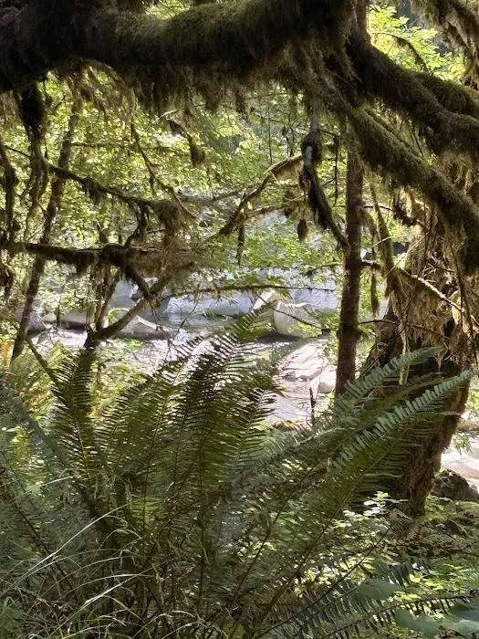 Myrtle Grove Campground Picture 4
