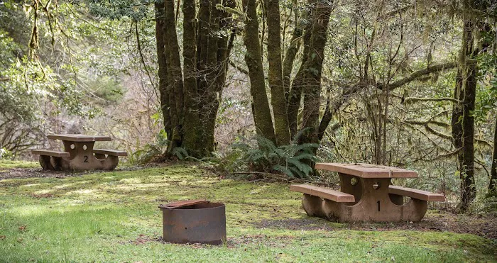 Sixes River Campground Picture 1