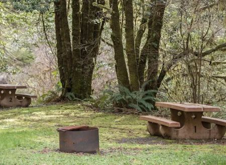 Sixes River Campground