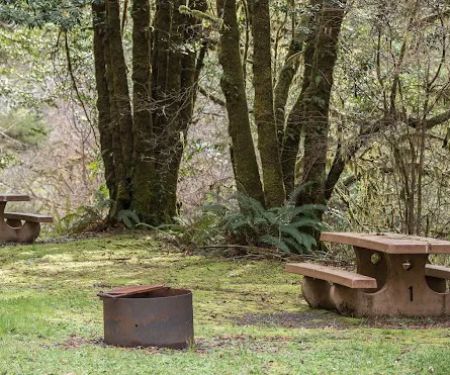 Sixes River Campground