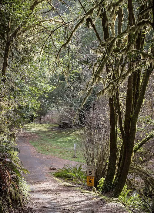 Sixes River Campground Picture 9