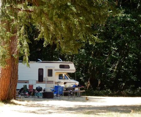 Edson Creek Campground