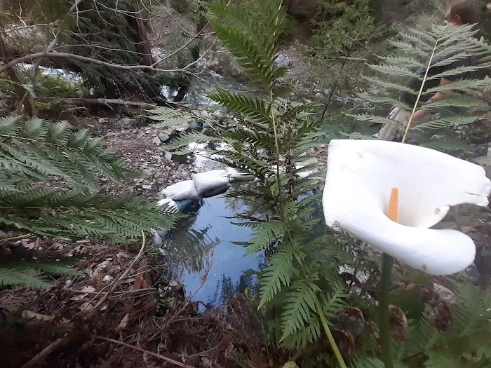 Sykes Hot Springs Campground Picture 6