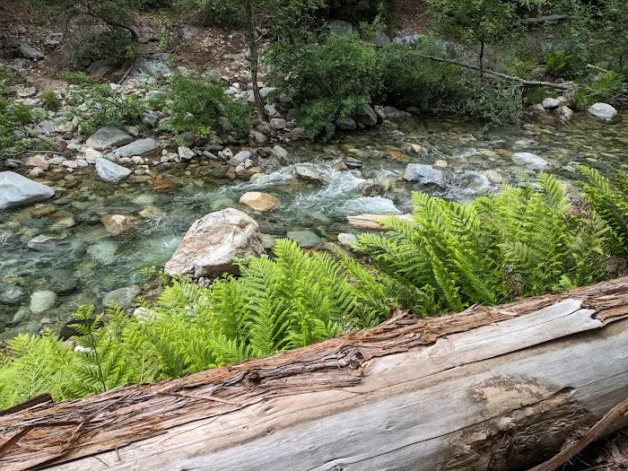 Sykes Hot Springs Campground Picture 9