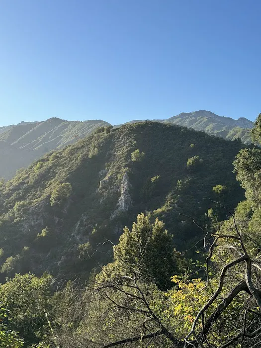 Barlow Flat Campground Picture 5