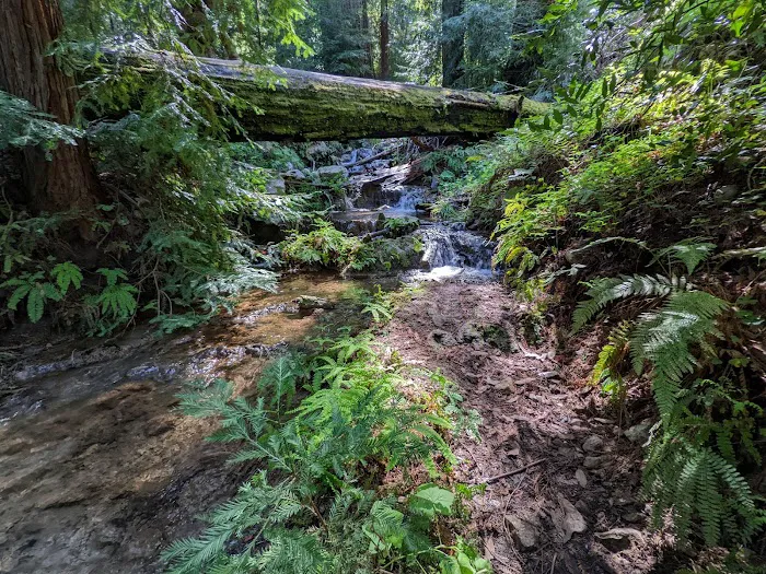 Barlow Flat Campground Picture 10