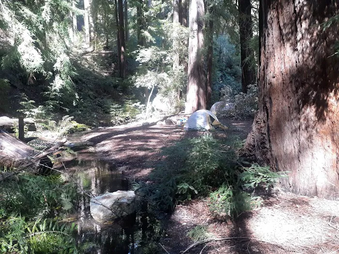 Barlow Flat Campground Picture 4