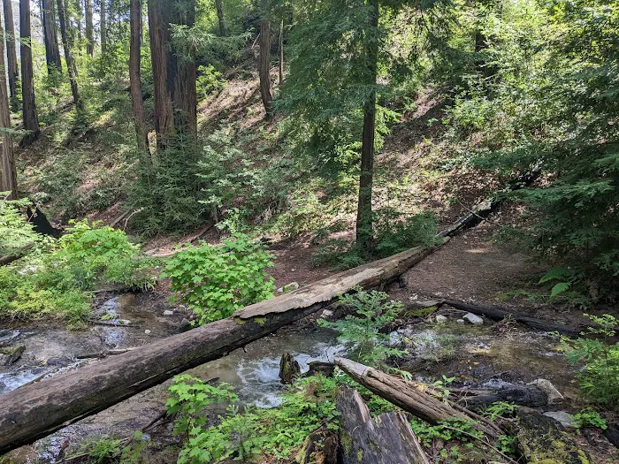 Terrace Creek Camp Picture 9