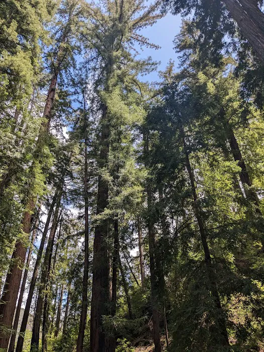 Terrace Creek Camp Picture 5