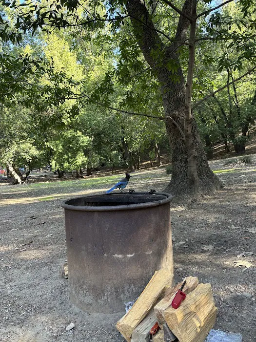 Wayland Campground Picture 8