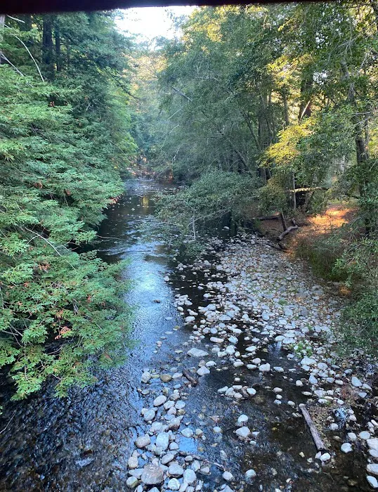 Pfeiffer Big Sur State Park Campground Picture 4