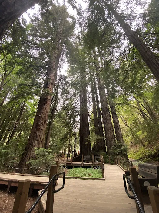 Pfeiffer Big Sur State Park Campground Picture 6
