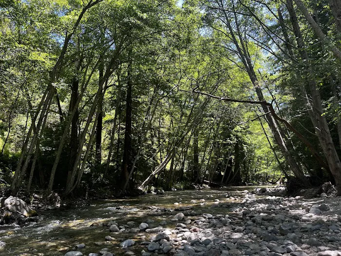 Pfeiffer Big Sur State Park Campground Picture 2