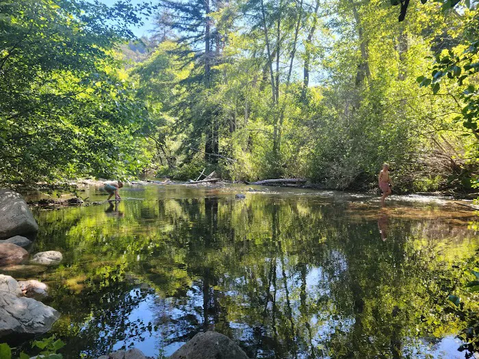 Pfeiffer Big Sur State Park Campground Picture 7