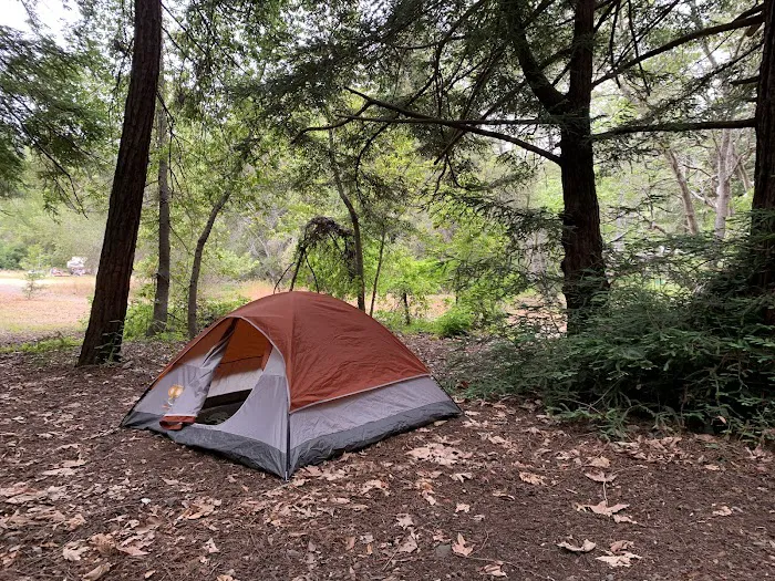 Pfeiffer Big Sur State Park Campground Picture 10