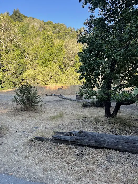 South Campground Picture 1