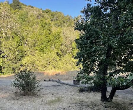 South Campground