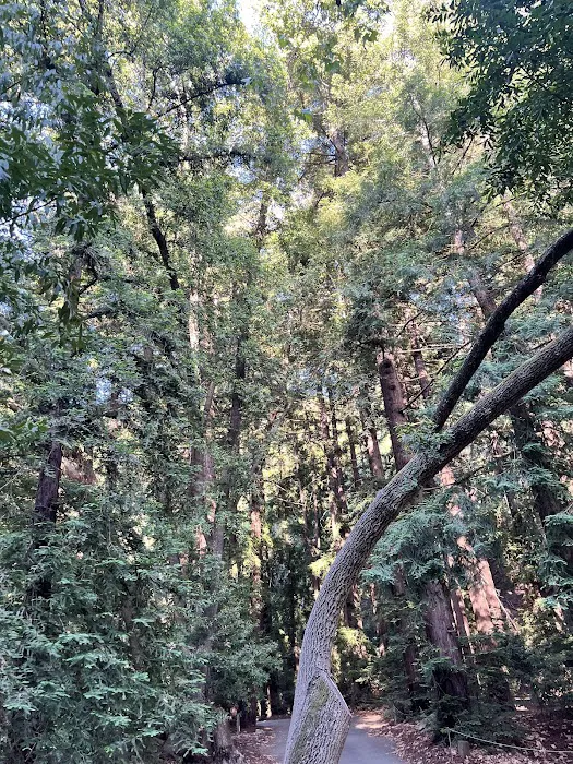 South Campground Picture 2