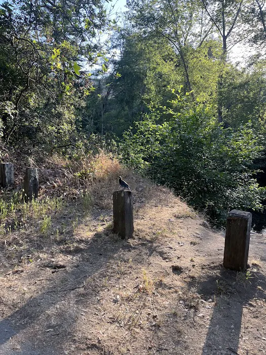 South Campground Picture 3
