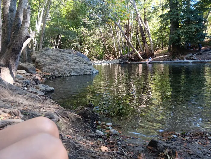 Pfeiffer Big Sur State Park Main Camp Picture 4