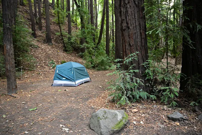 Pfeiffer Big Sur State Park Main Camp Picture 5