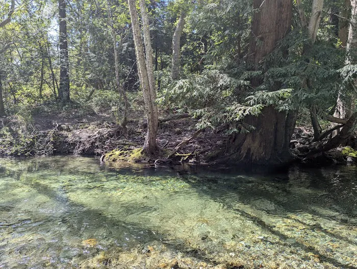Pfeiffer Big Sur State Park Main Camp Picture 8