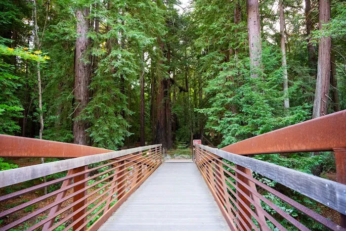 Pfeiffer Big Sur State Park Main Camp Picture 10
