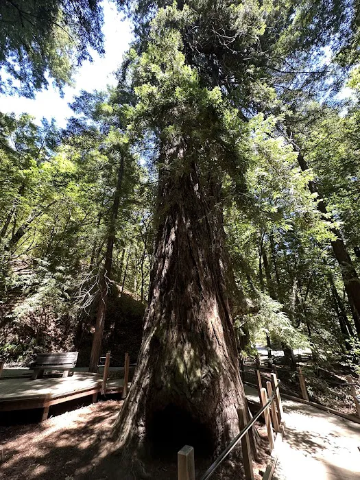 Pfeiffer Big Sur State Park Main Camp Picture 2