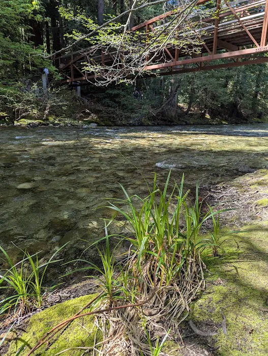 Pfeiffer Big Sur State Park Main Camp Picture 9