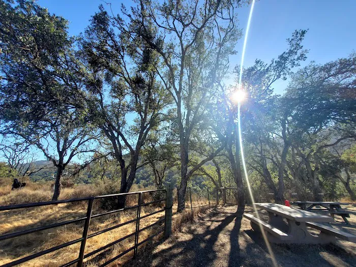 Radio Ridge Picture 7