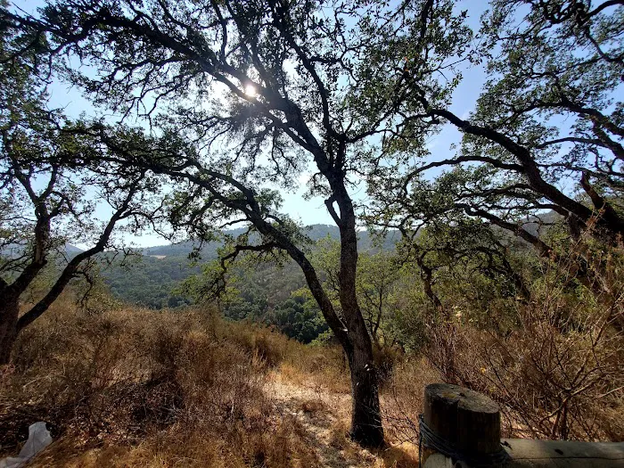Radio Ridge Picture 2