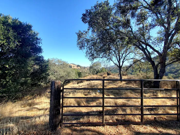 Radio Ridge Picture 6