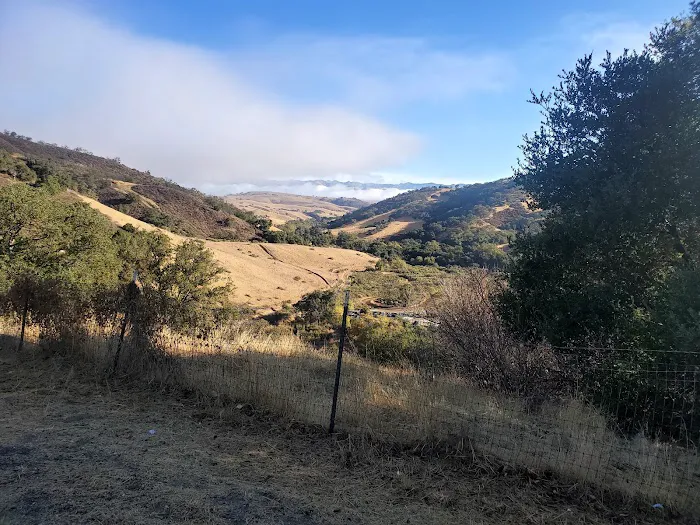 Radio Ridge Picture 4