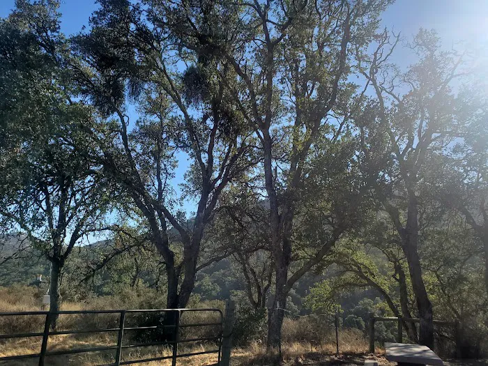 Radio Ridge Picture 10