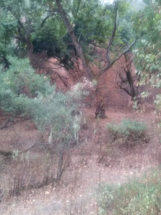 Walnut Campground Picture 5
