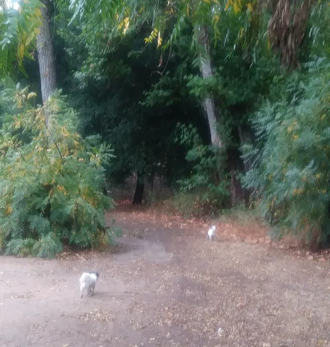 Walnut Campground Picture 7