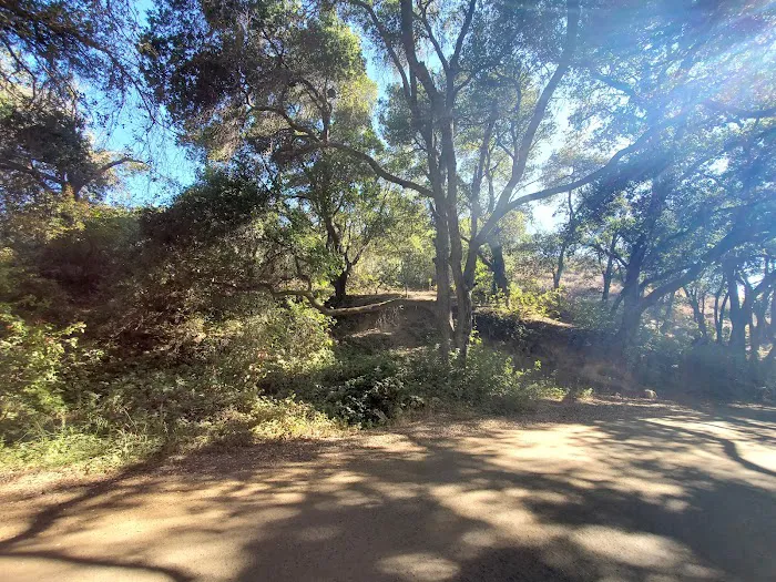 Lodge Campground Picture 3