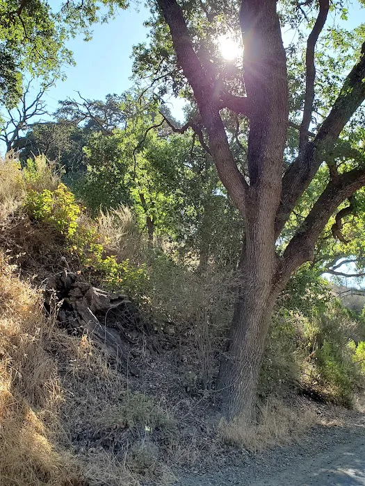 Lodge Campground Picture 8