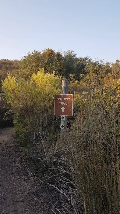Bee Campground Picture 5