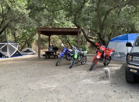 Madrone Campground
