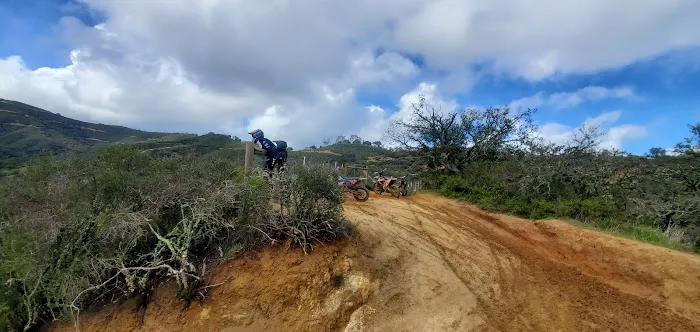 Madrone Campground Picture 2