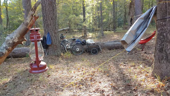 Saddle Bayou Primitive Campground Picture 3