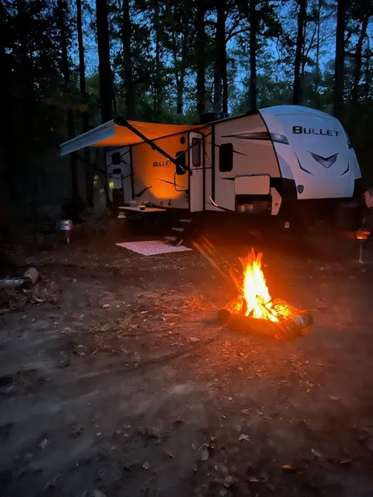 Saddle Bayou Primitive Campground Picture 1