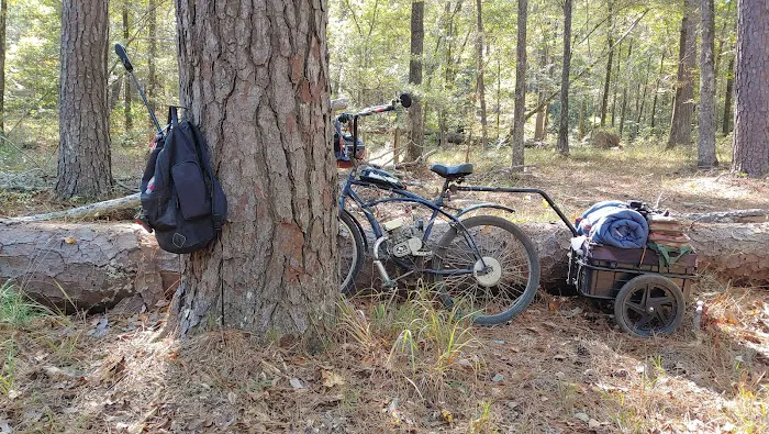 Saddle Bayou Primitive Campground Picture 2