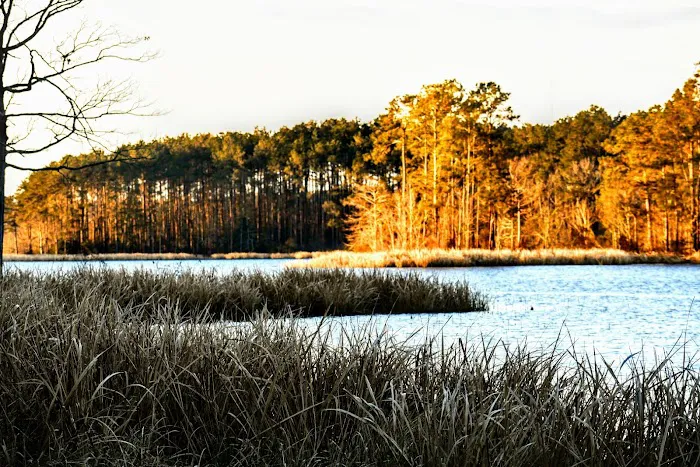 Indian Creek Recreation Area Picture 3